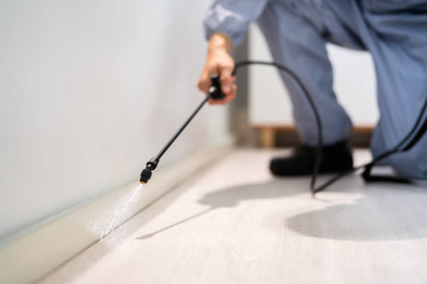 Licensed Cockroach Control service in Auburn, CA - Nex Pest Control