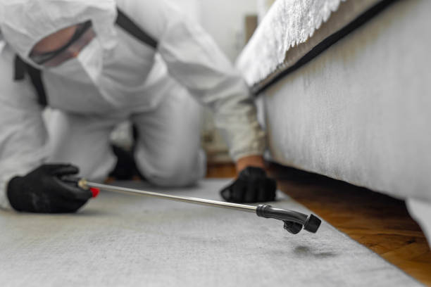 Professional Cockroach Control technician working in Auburn, CA