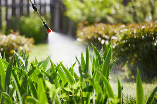 24/7 Emergency Cockroach Control experts in Auburn, CA