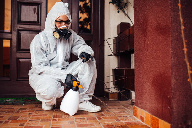 Reliable Cockroach Control contractor in Auburn, CA by Nex Pest Control